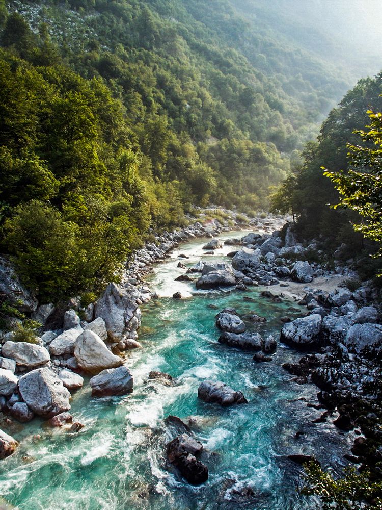 Фотография автора Chorche Prigo