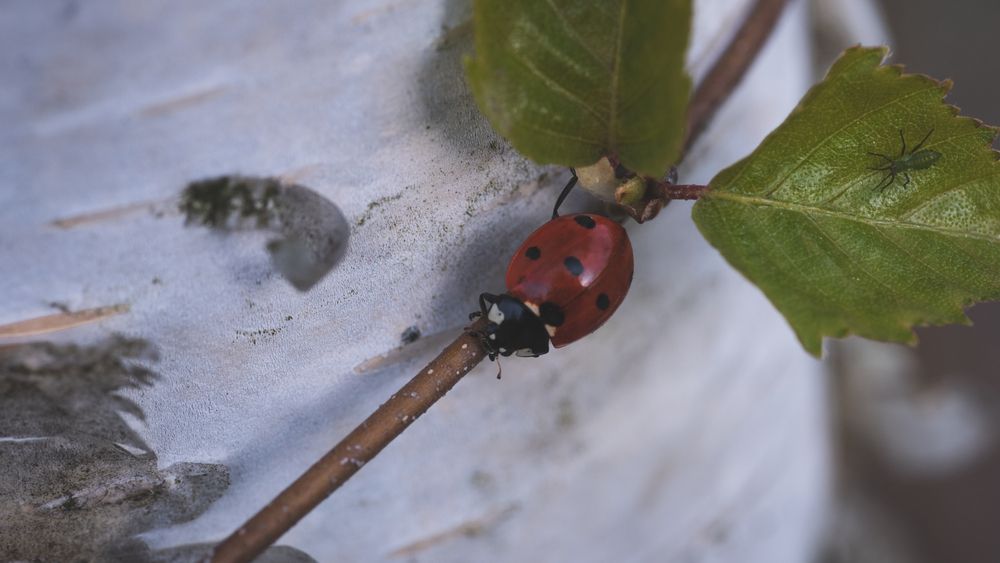 Фотография автора Войнов Дмитрий