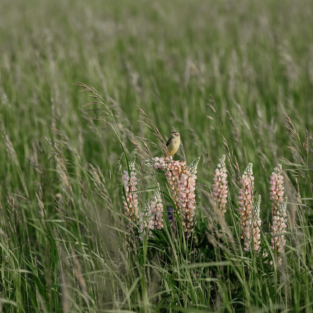 Photograph by Анна Блохина