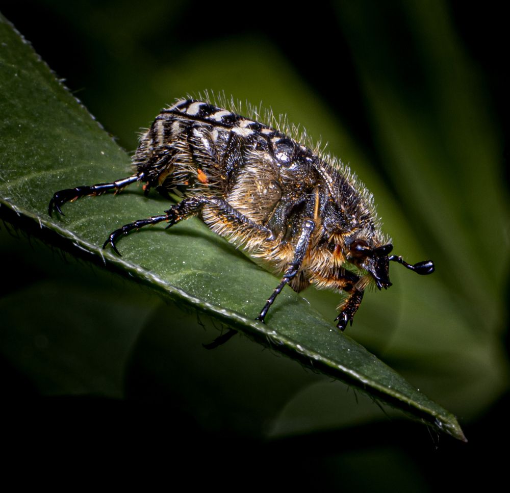 Photograph by Юлия Шурандина