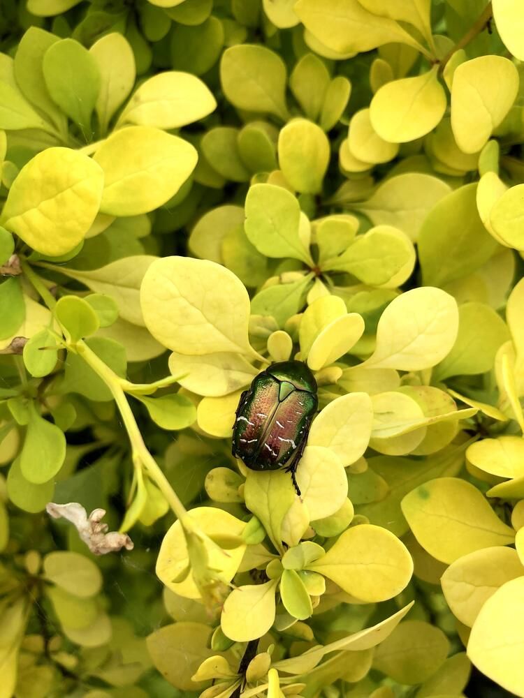 Photograph by Барашкова Екатерина