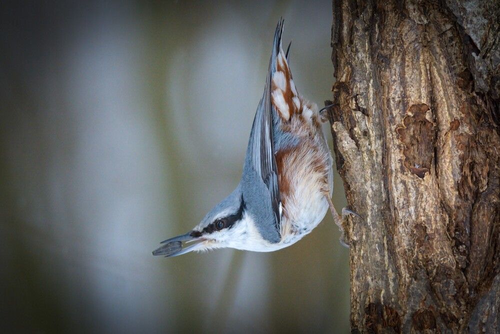 Photograph by Андрей Стрельников