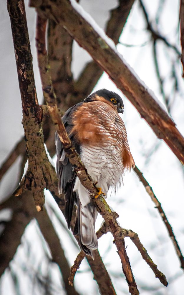 Фотография автора Денис Мартыновский