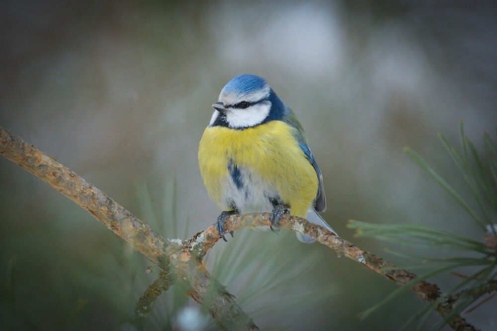 Photograph by Андрей Стрельников