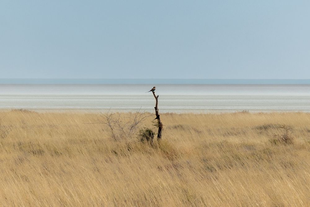 Photograph by Marina Novak