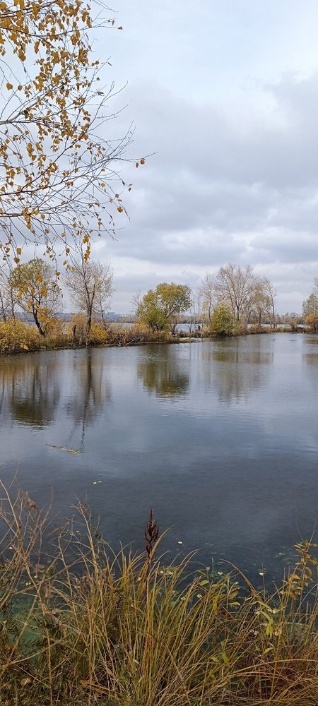 Photograph by Елена Калинина