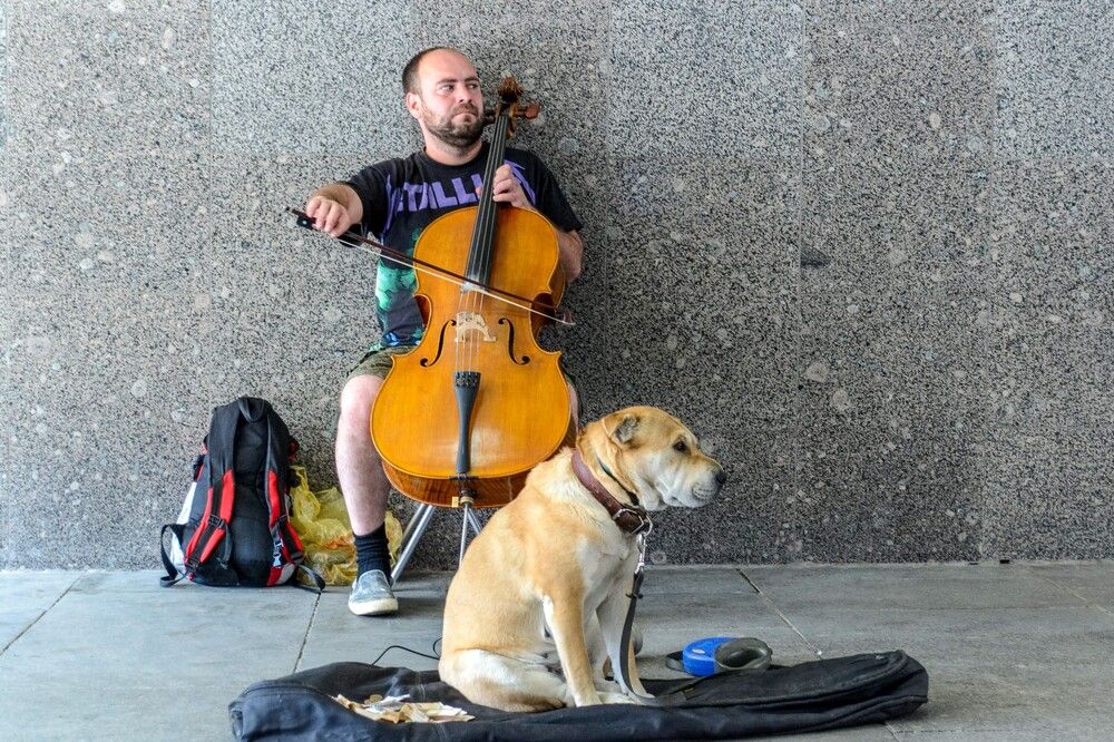Photograph by Андрей Стрельников
