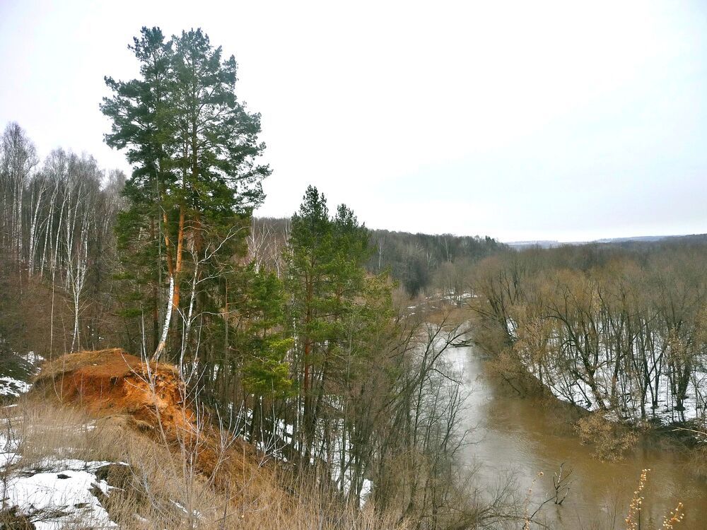Фотография автора Клавдия Васильева