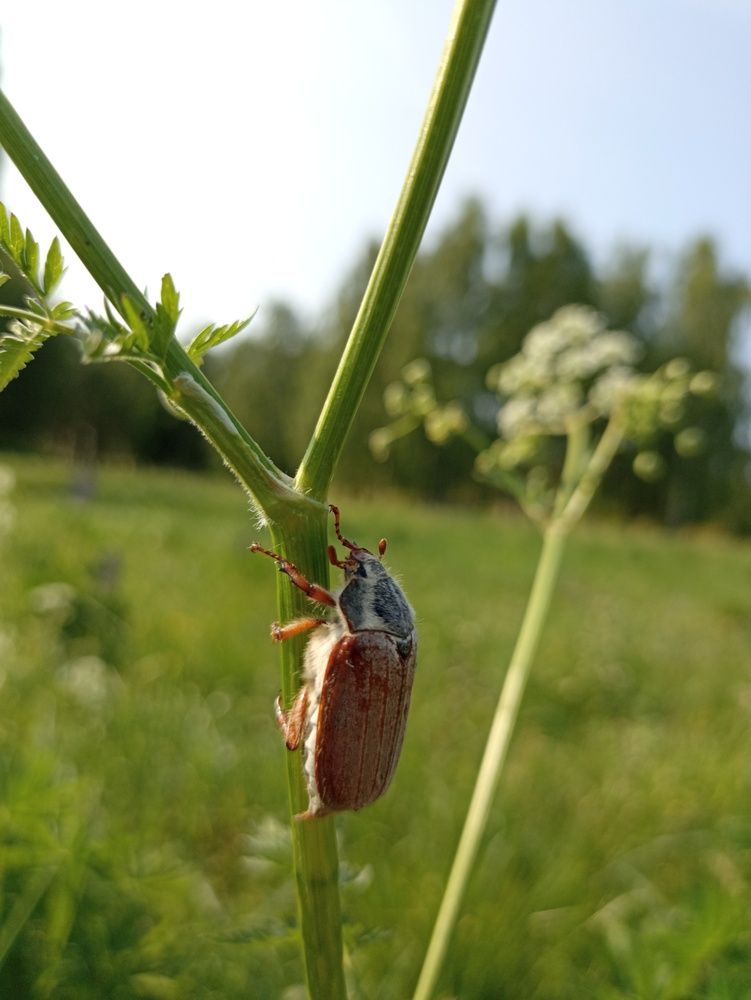 Photograph by Юлия