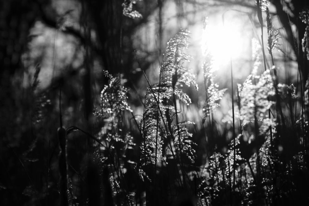 Photograph by Olga Smirnova