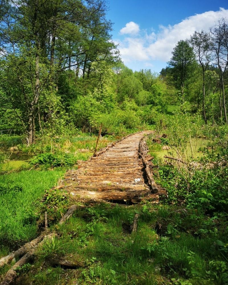 Photograph by Юлия Горелова