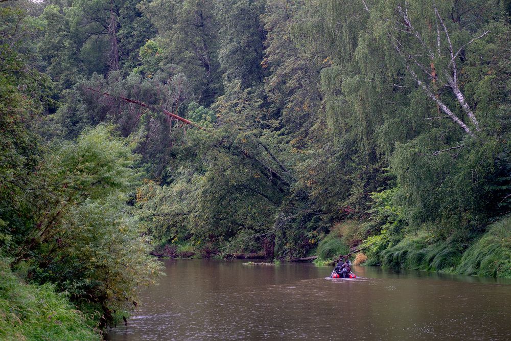 Photograph by Сергей Забиякин
