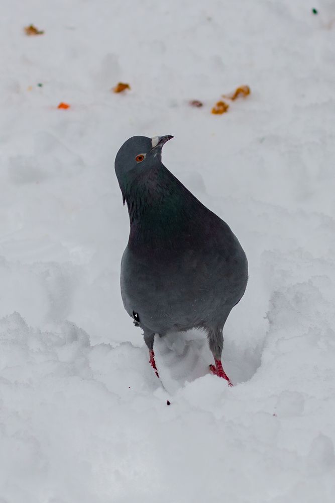 Photograph by Анна Крюкова