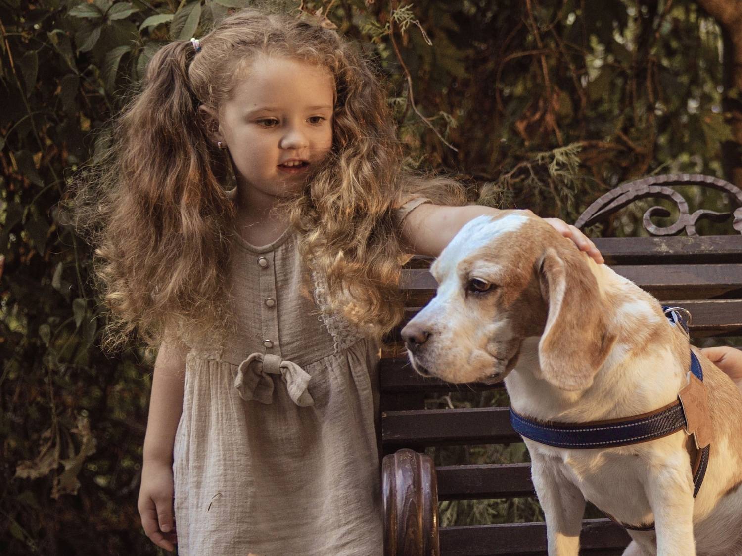 Не грусти собака Не грусти собака