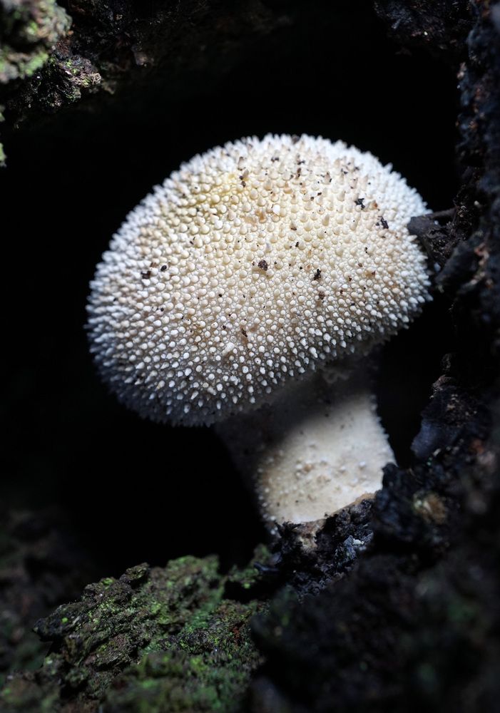 Photograph by Лена Максимкина