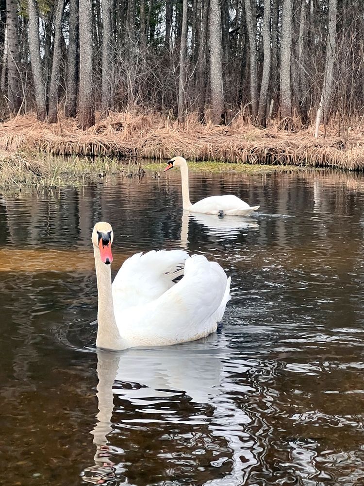 Photograph by Виталий Иванов