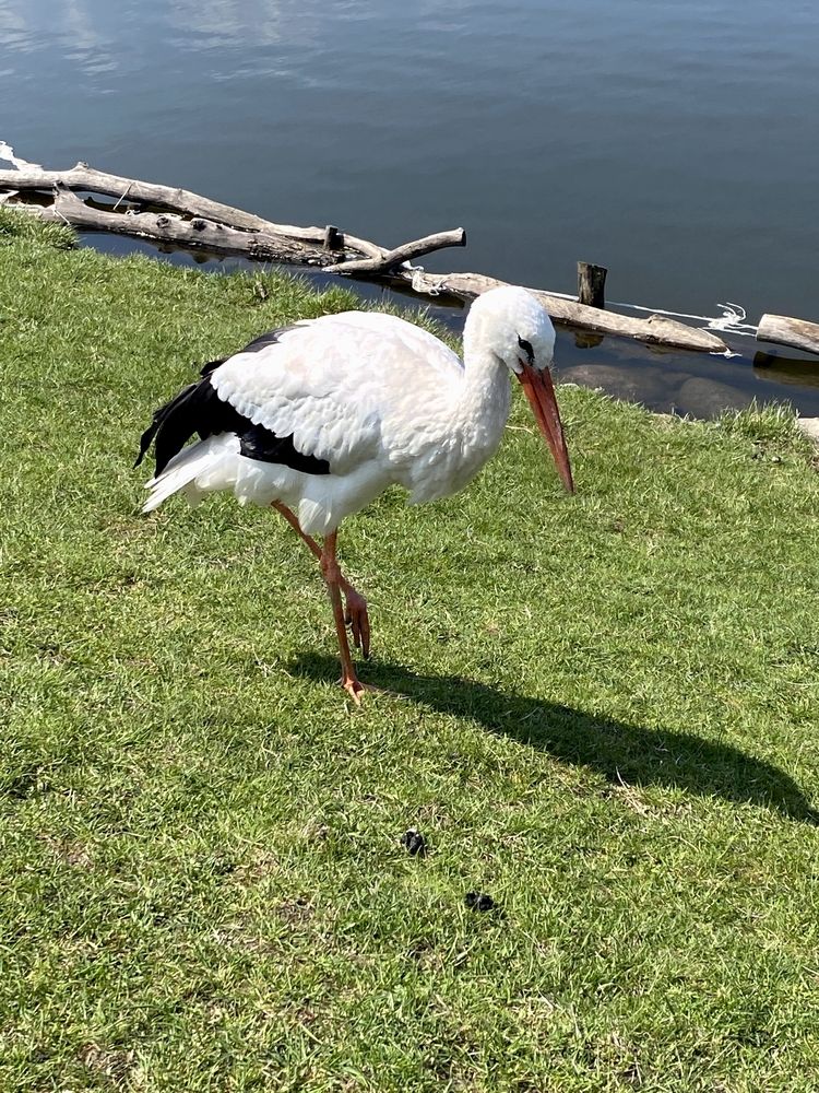 Photograph by Виталий Иванов