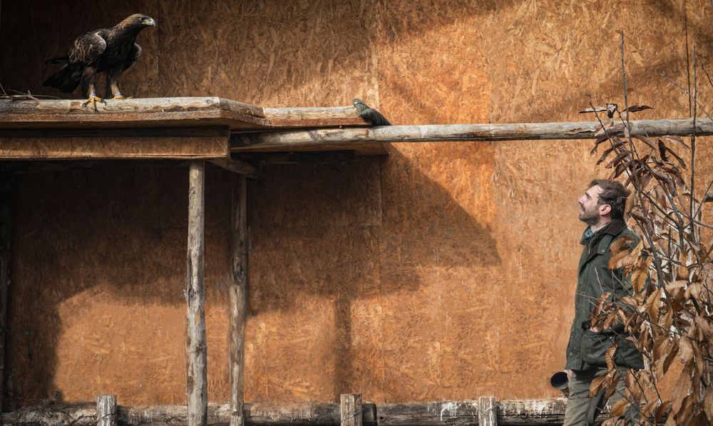 Фотография автора Veronica Cipolla