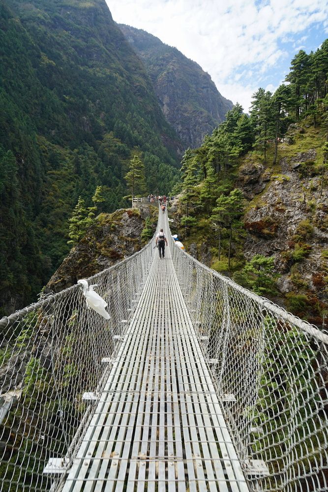 Photograph by Игорь Семеновский