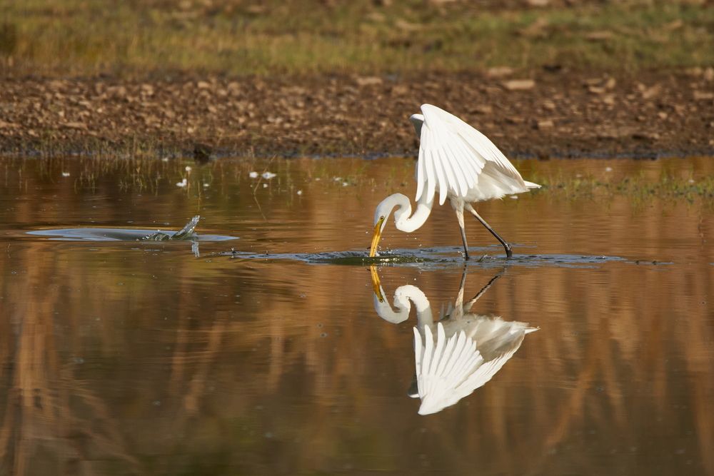 Фотография автора Boris Konovalov