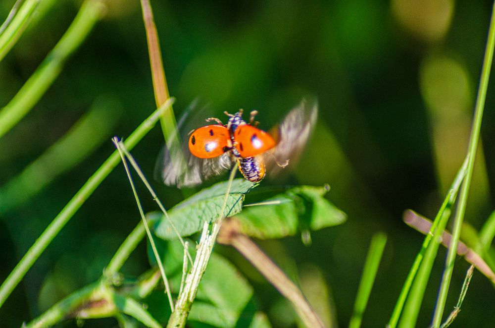 Photograph by Денис Кичев