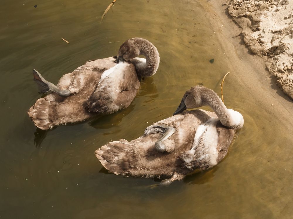 Photograph by Наталья Колеватова