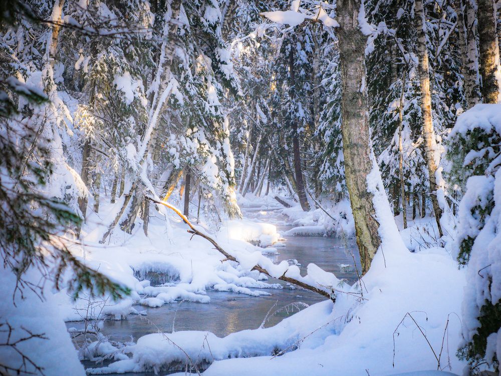 Photograph by Сергей Забиякин