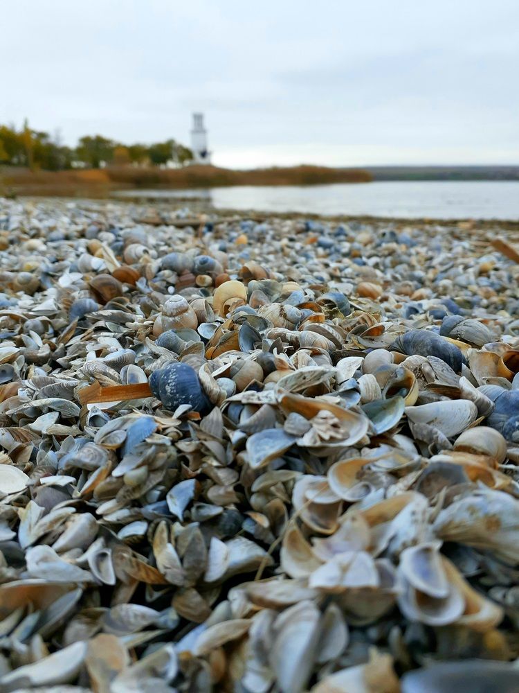 Photograph by Сергей Басюк