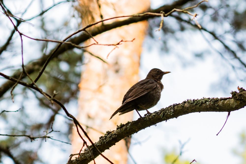 Photograph by Анна Крюкова