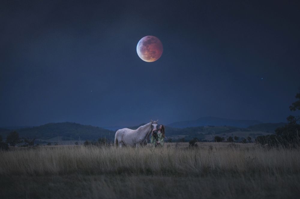 Photograph by Aurora Minna Kiss