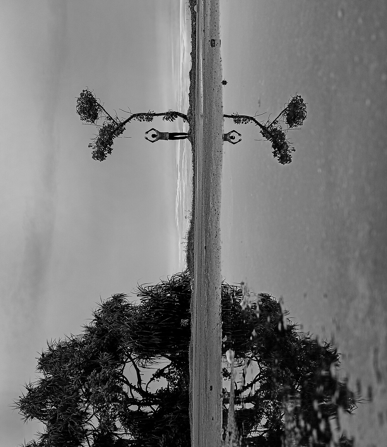 Photo #13235606