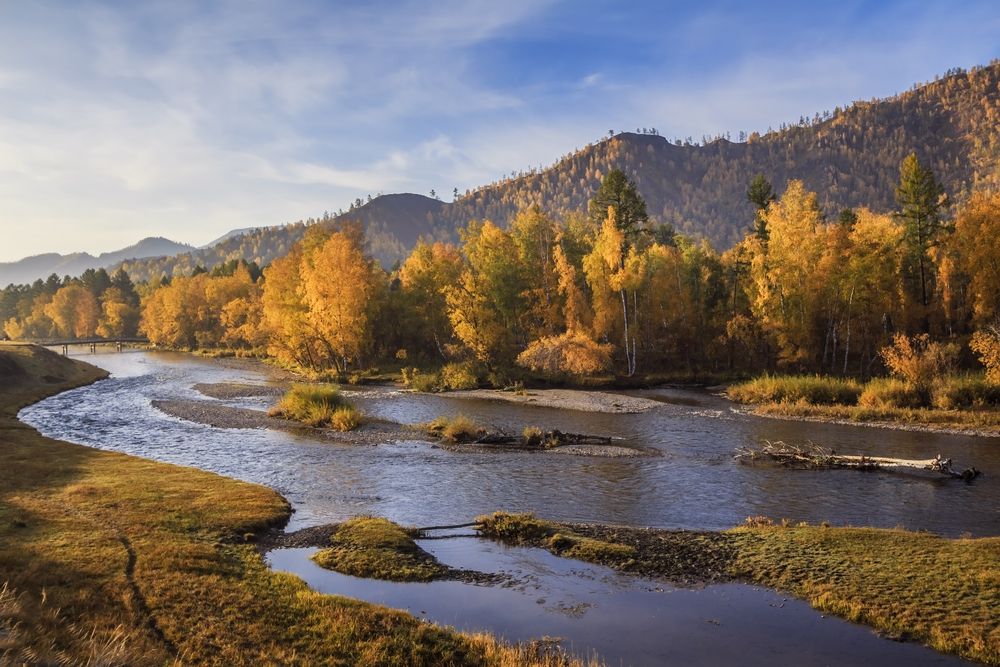 Фотография автора Галина Шепелева