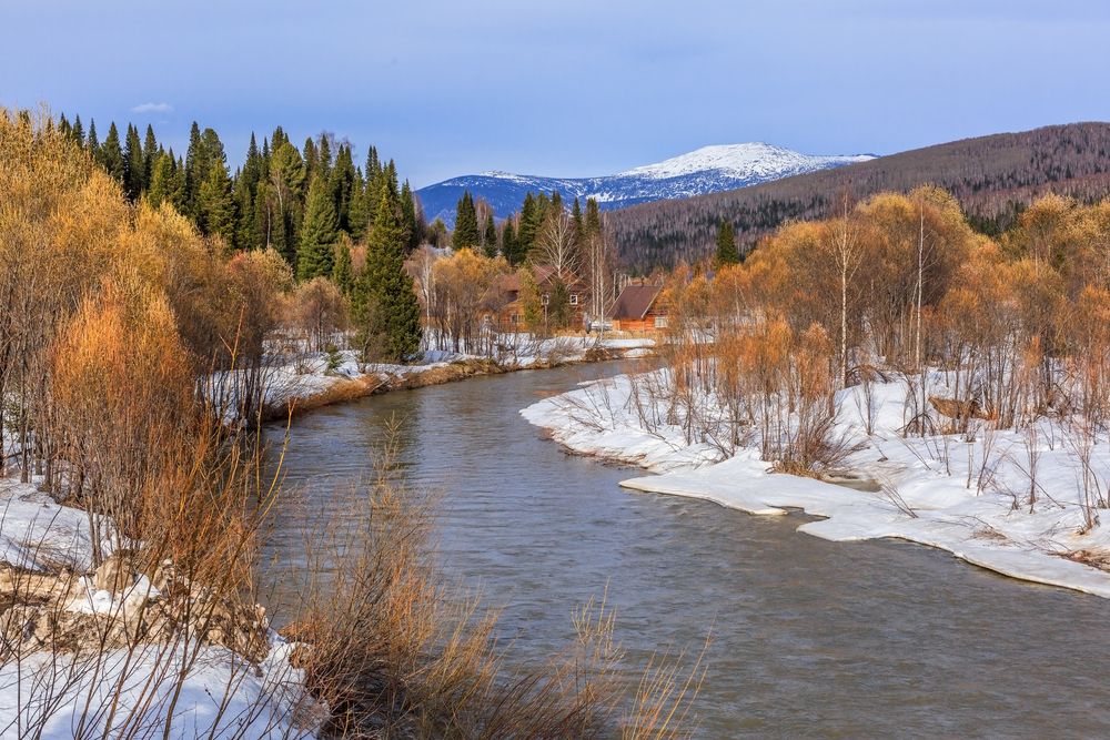 Фотография автора Галина Шепелева