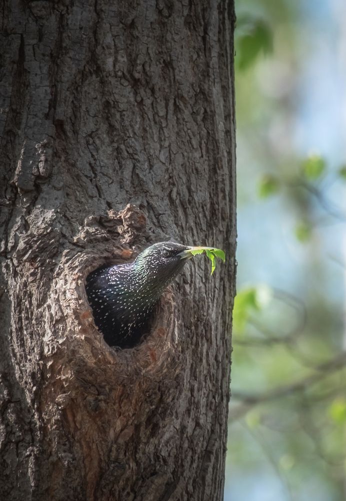 Photograph by Константин Яковлев