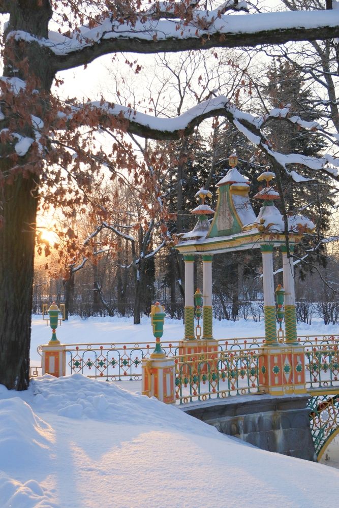 Фотография автора Юлия Чешко