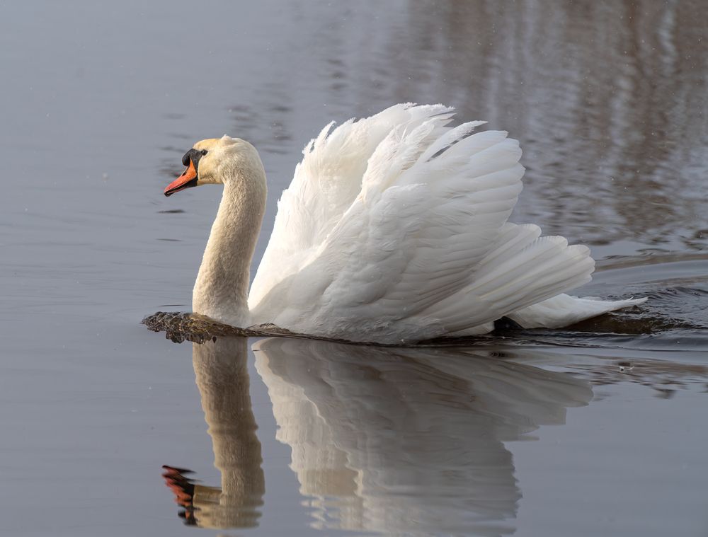 Photograph by Makarov Viktor