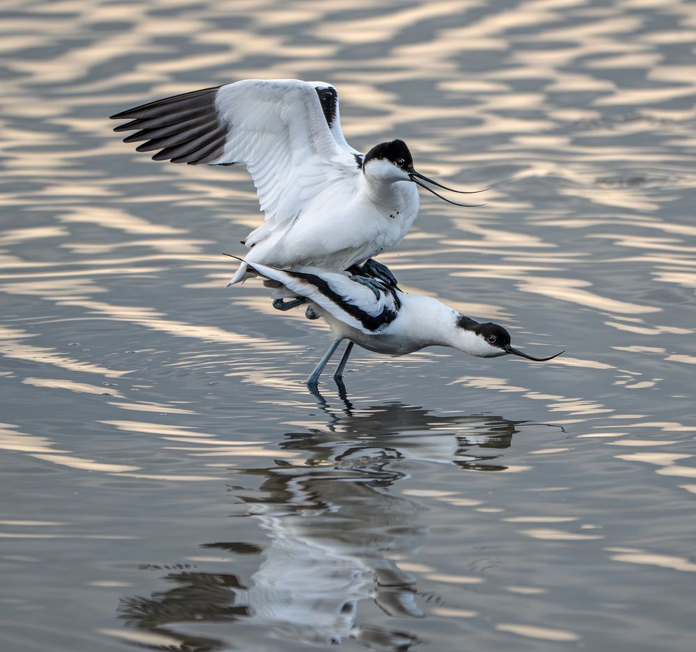 Photograph by Makarov Viktor