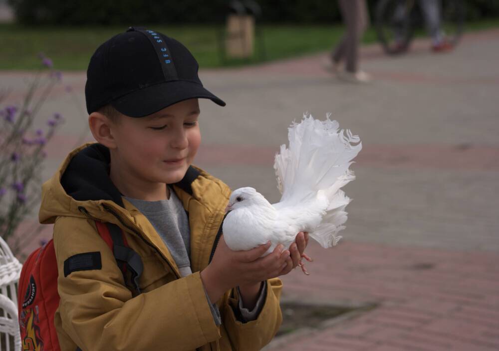 Photograph by Ирина Вассерлауф