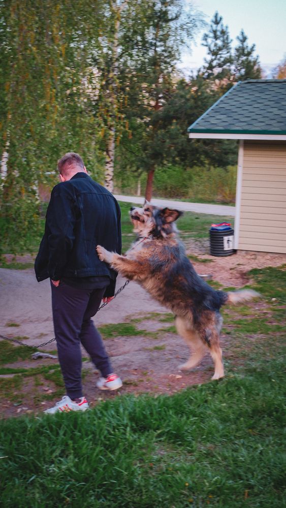 Photograph by Юлия Киш