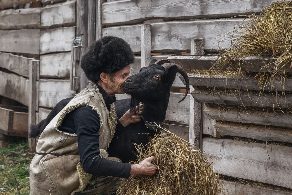 Photograph by Алексей Широбоков