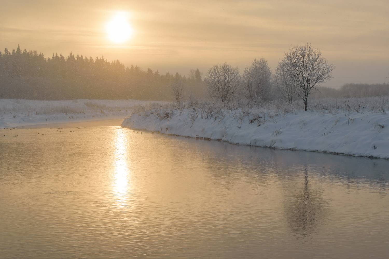 Река Ижора зимой