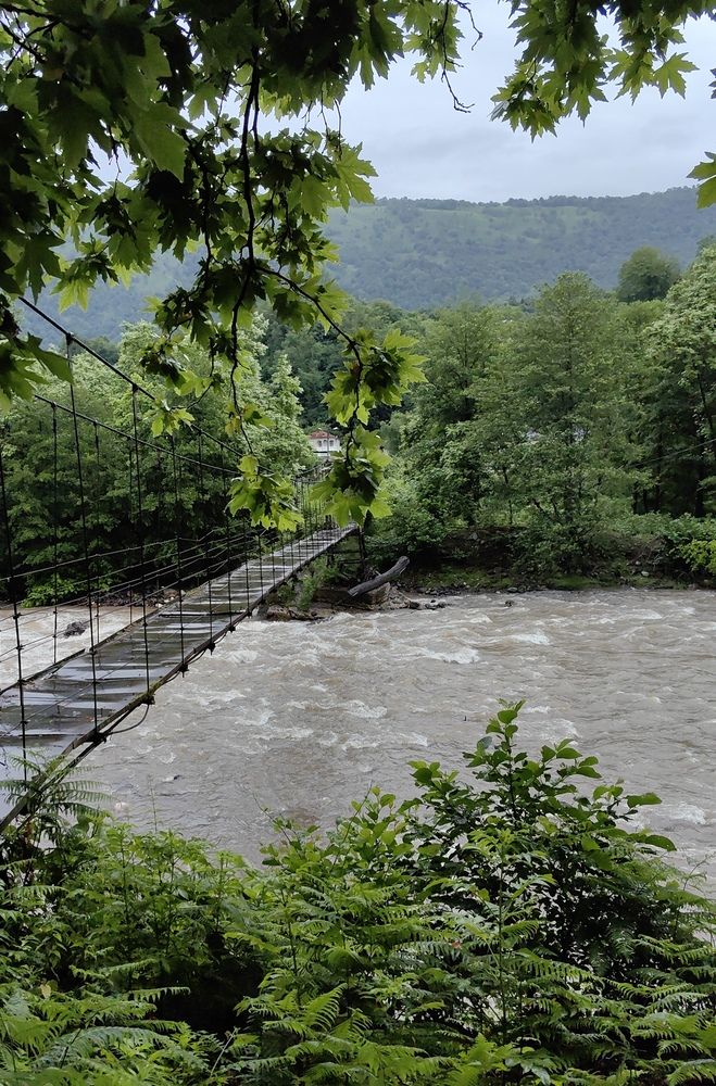 Photograph by Анастасия Кременчугская