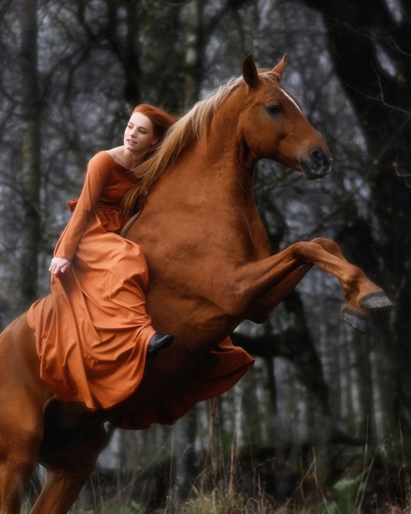 Фотография автора Александра Бабичева