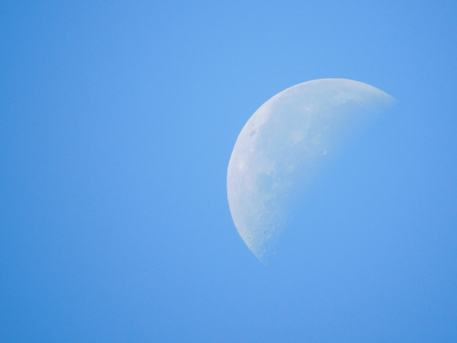 Photo #13235827