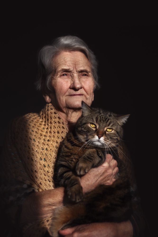 Photograph by Алексей Широбоков