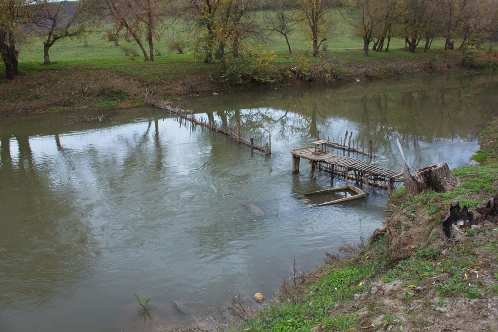 Photograph by Olga Andriuc