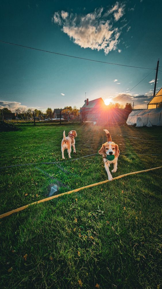 Photograph by Юлия Киш