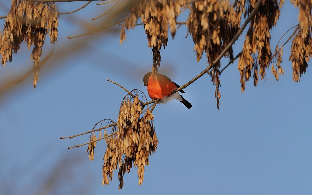 Photograph by Наталья Кирина