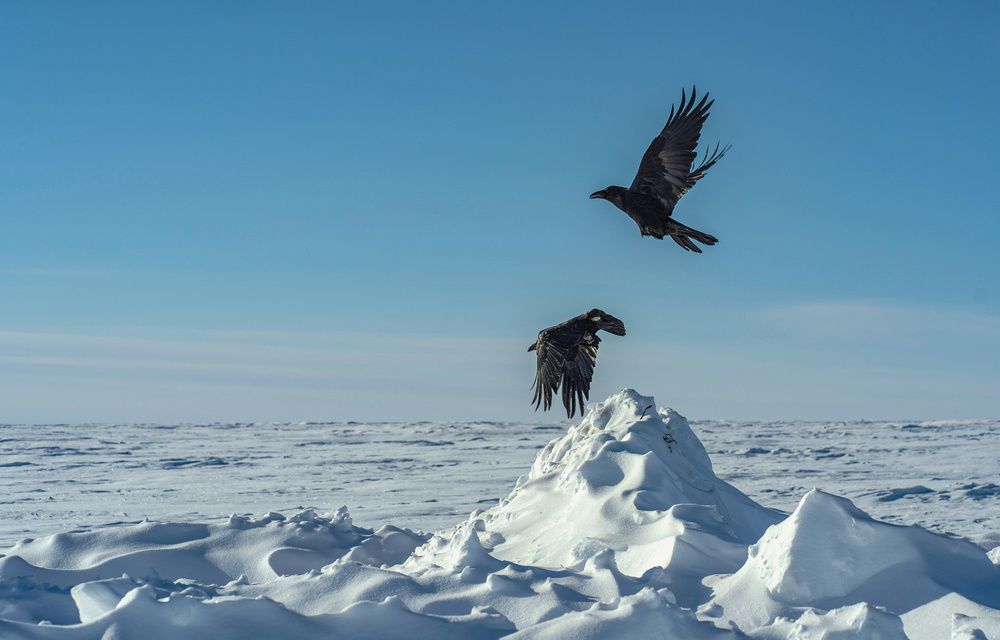 Photograph by Галина Искандарова