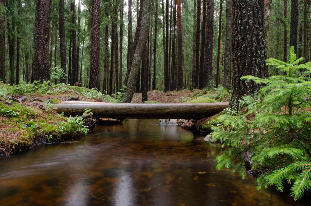 Photograph by Александр Вавулин